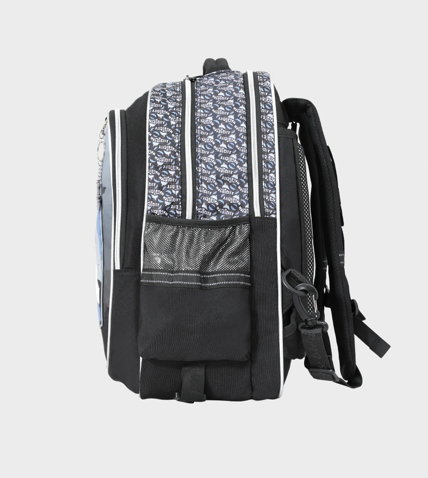 Trolley School Bag GB5485TB